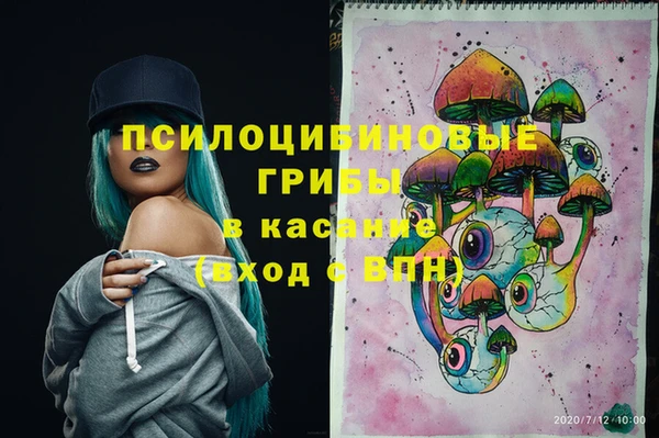 шишки Алексеевка
