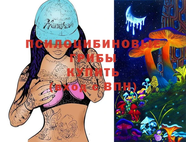 шишки Алексеевка